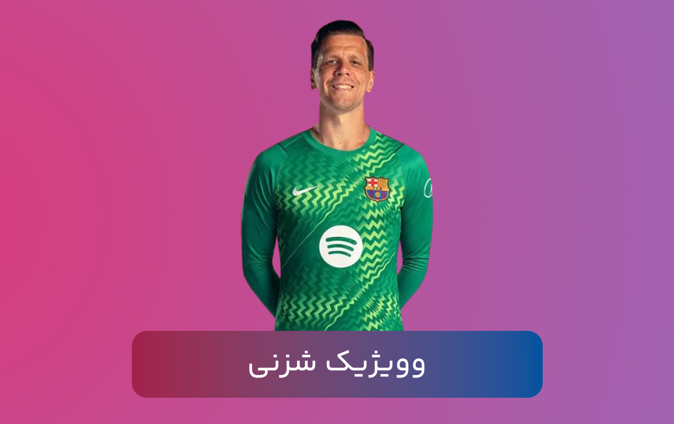 وویژیک شزنی